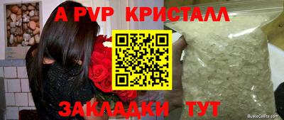 крисы Кинель