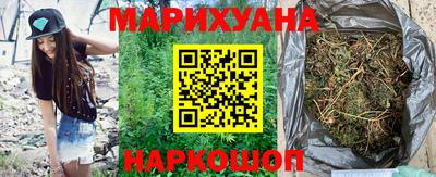 крисы Кинель