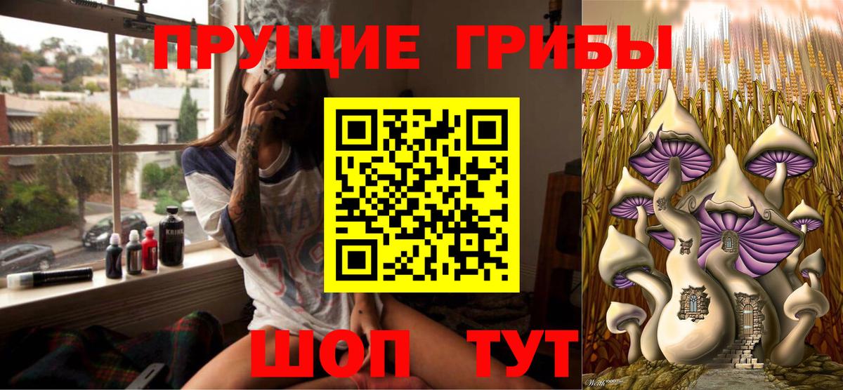 Псилоцибиновые грибы Psilocybe Красный Сулин