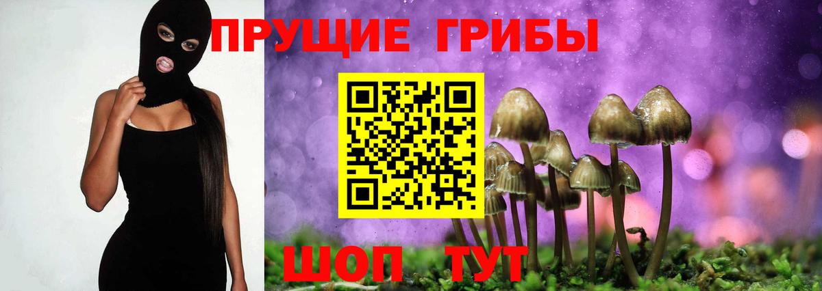 Красный Сулин  Галлюциногенные грибы Magic Shrooms  Вход с VPN  Галлюциногенные грибы Psilocybe 